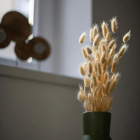 בודפשט Lh Gallery Apartments מראה חיצוני תמונה